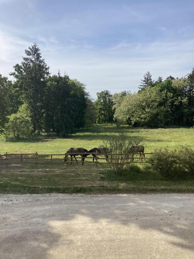 Chateau Tout Y Fault Loriges Zewnętrze zdjęcie